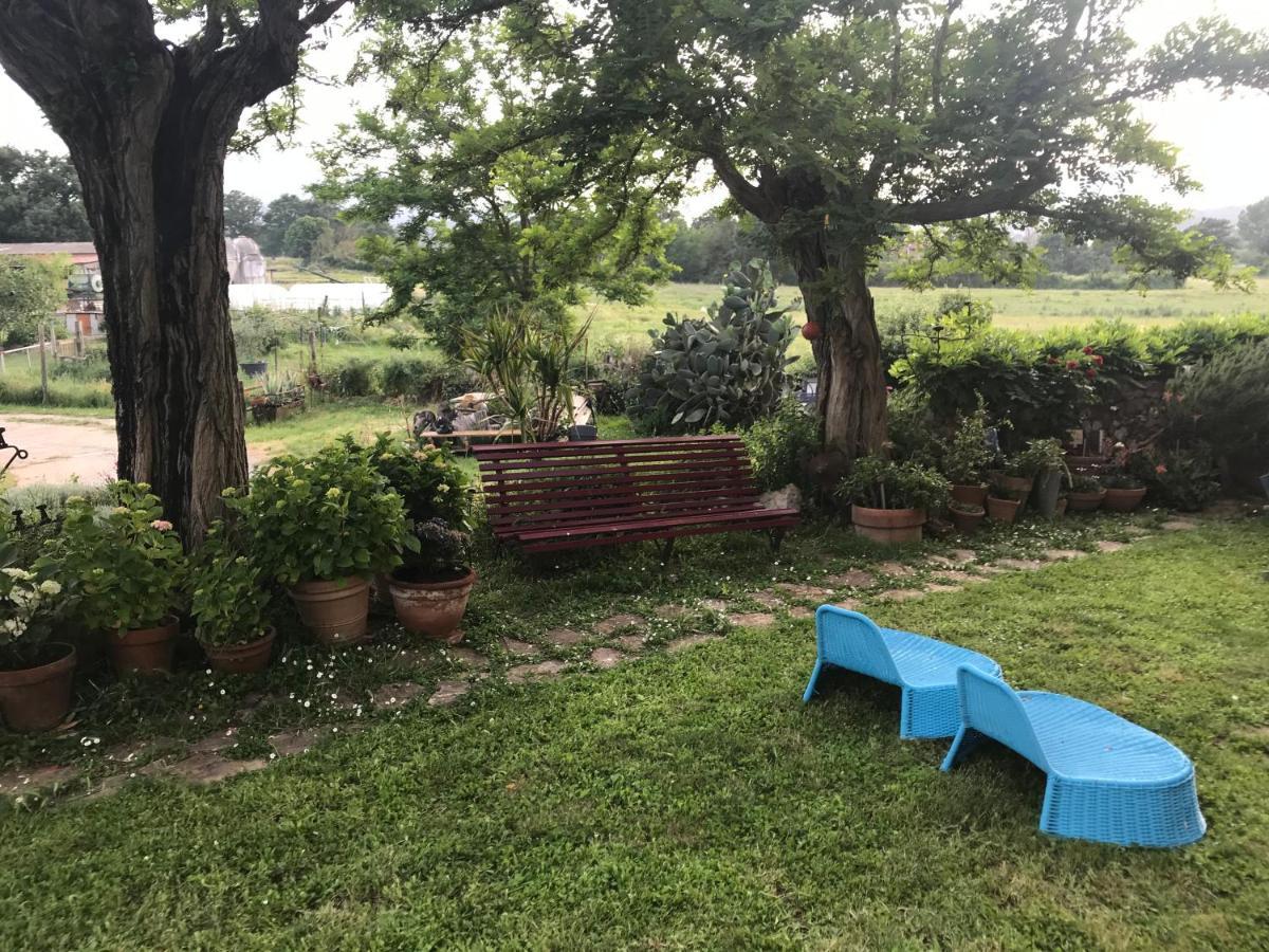Case Di Vetulonia Castiglione della Pescaia Exterior foto